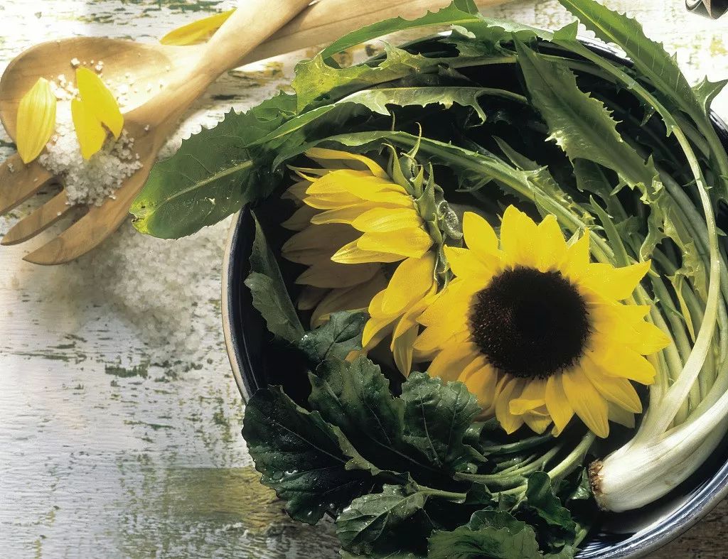 春天十大黄金野菜,中医养生必吃的9种食物