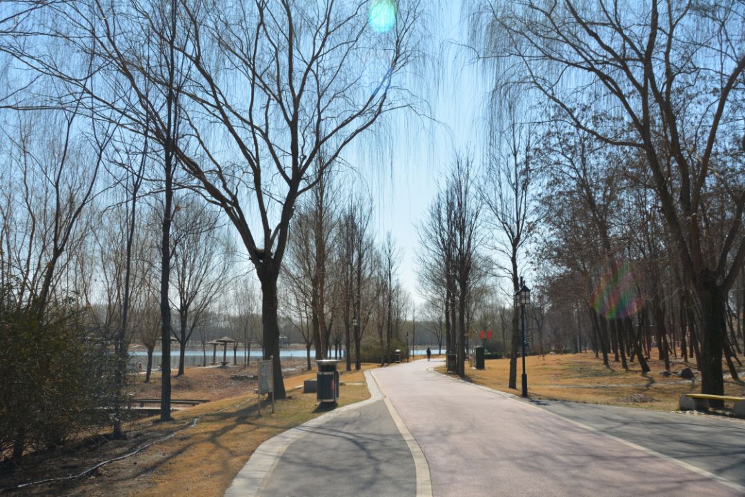 减河暗沟,减河简介