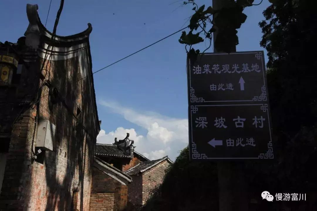 徽派古村梯田花海,徽派建筑油菜花田