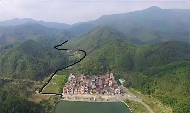 禾雀花美翻三月天,禾雀花盛开美翻三月天