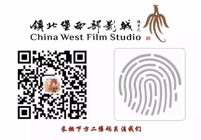 张贤亮小说,张贤亮写的小说