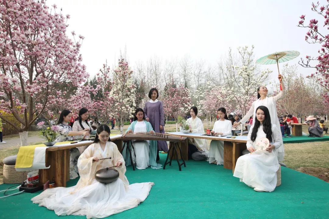 玉兰初绽,玉兰绽放春天如约而至