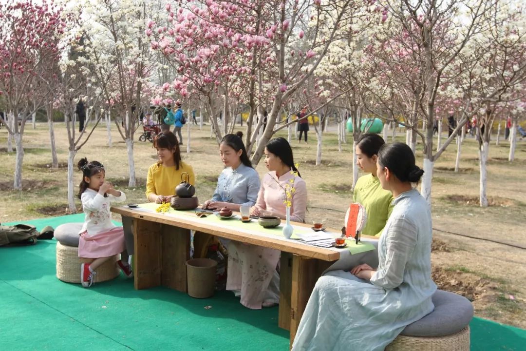 玉兰初绽,玉兰绽放春天如约而至