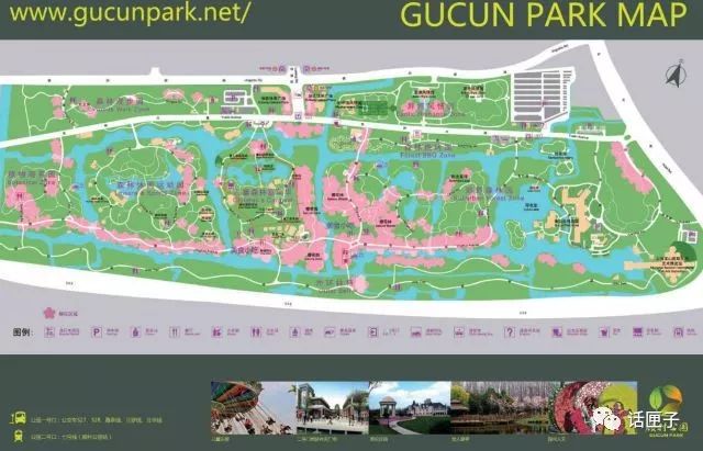 万花丛中,拍照选哪枝?话匣妹手把手教你过春天