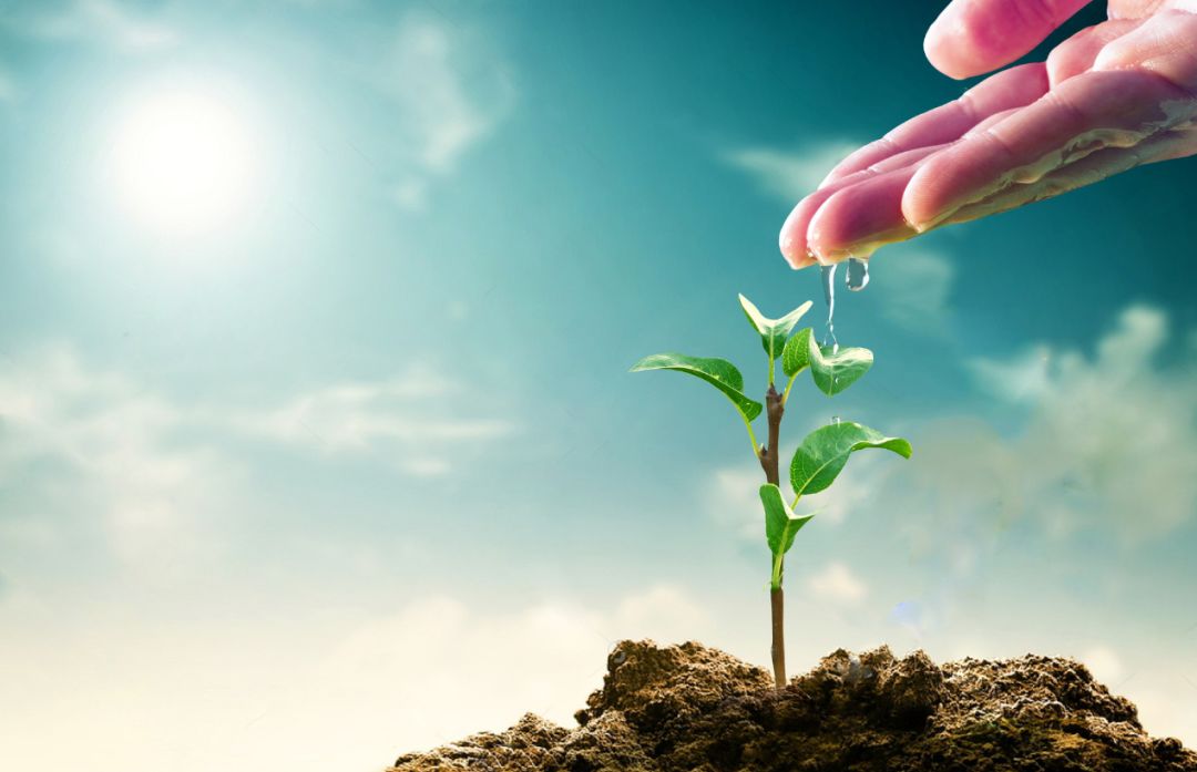 人生在迷茫的时候该怎么做出选择,迷茫的3个选择