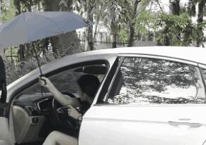 厉害了！这把伞一键自动开收伞，能抗8级大风