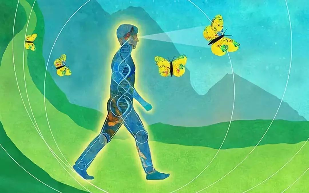 民间偏方治疗癌症,治疗甲状腺癌症的偏方