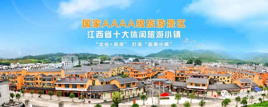 小布岩茶基地,广州小布岩茶