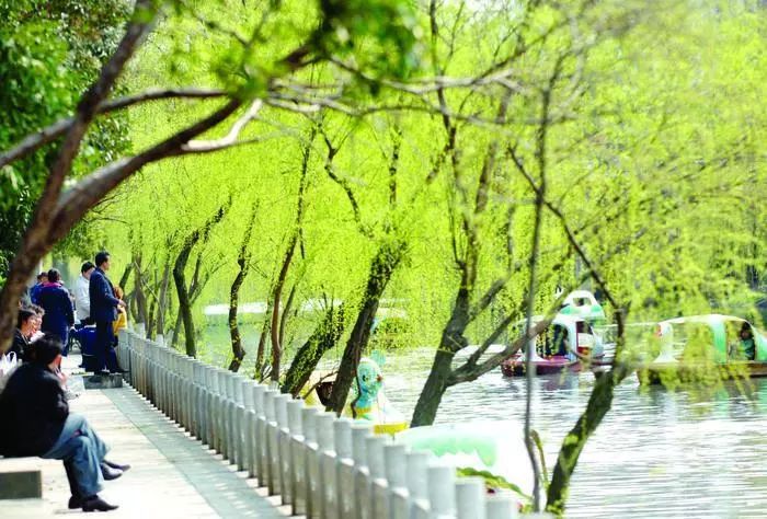 镇江春天一定要做的25件事，别辜负了大好*光春**！