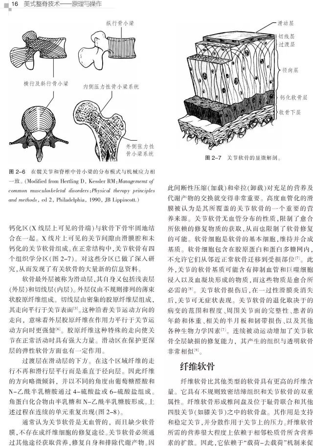 好书推荐|风靡全球的美式整脊教科书，了解整脊技术的必备参考——《美式整脊技术:原理与操作,引进版~中译本,第3版