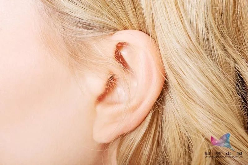 耳朵如何掏最舒服,掏耳朵的正常掏法