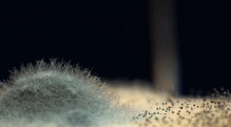 雨季衣物除湿,潮湿天气怎么除湿防霉