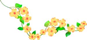 衡水高新区2019教师招聘,衡水高新区招聘老师