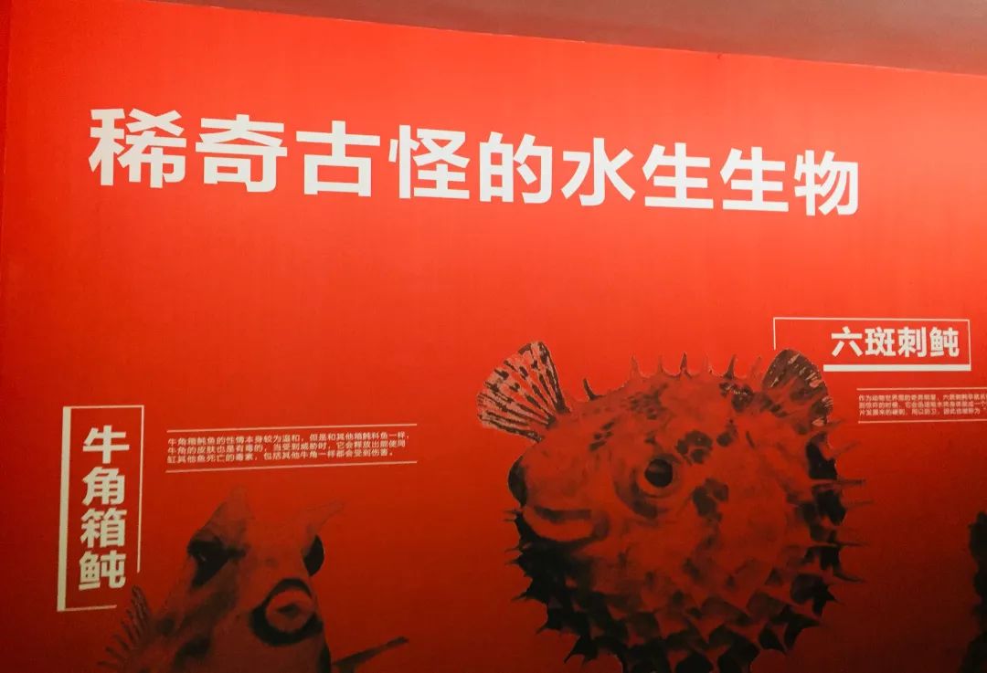 聊城海底世界游玩攻略,从聊城出发亲子游