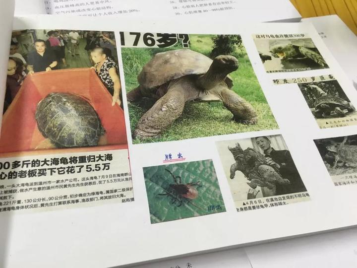 90岁老爷爷耗时半年制作一份“礼物”献给中老年人