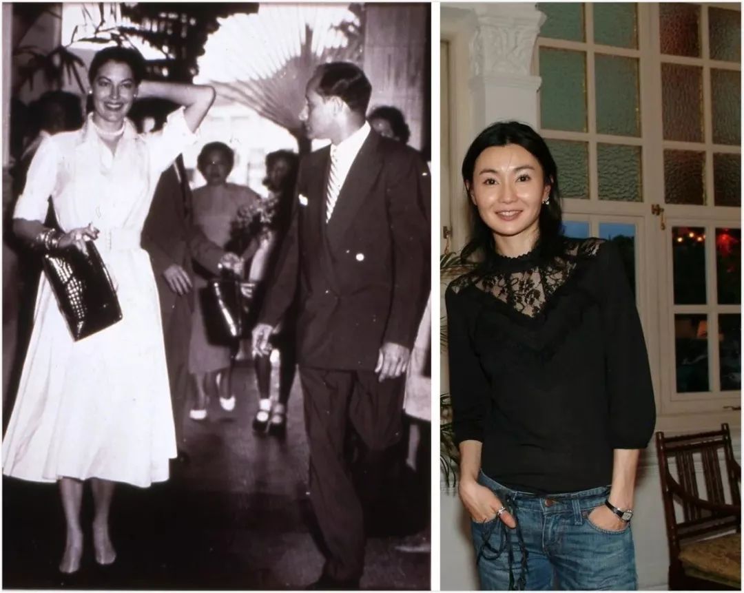 广州电影摘金奇缘,摘金奇缘杨紫琼酒店