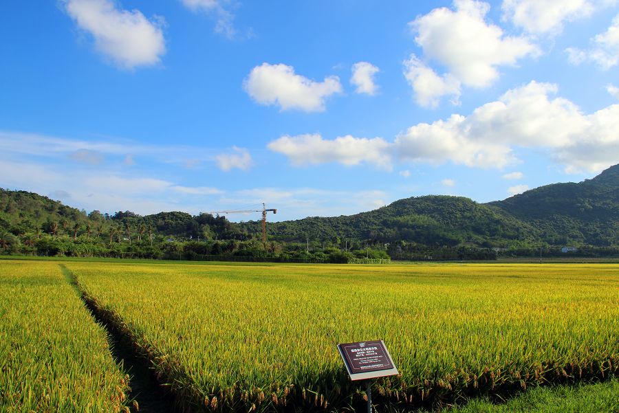 水稻国家公园评价,水稻国家公园有哪些项目