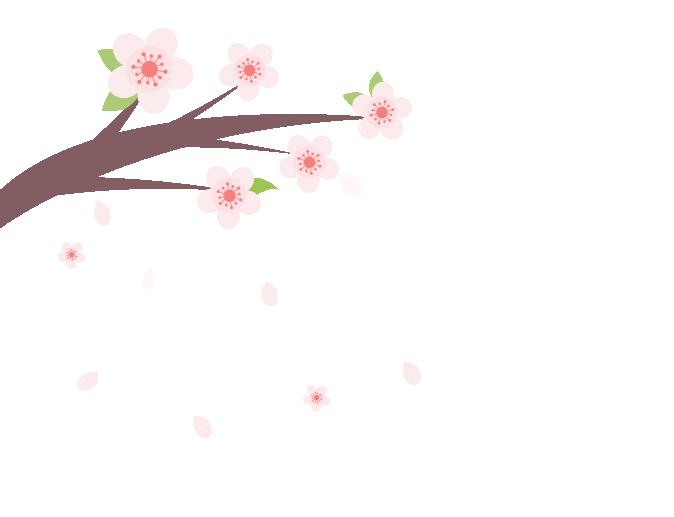 青少年夏令营最新消息报道,2019年青少年夏令营