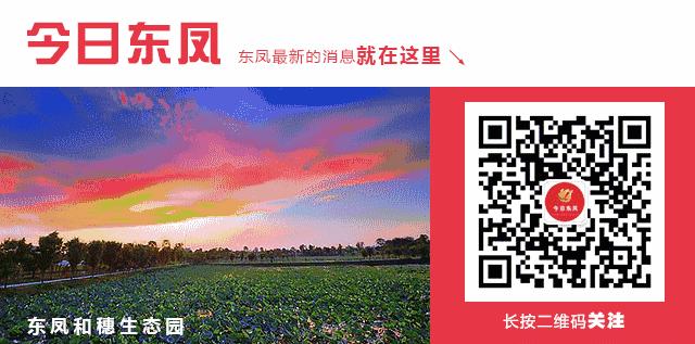 晚读东凤|一旅行团被隔离！这地紧急通报