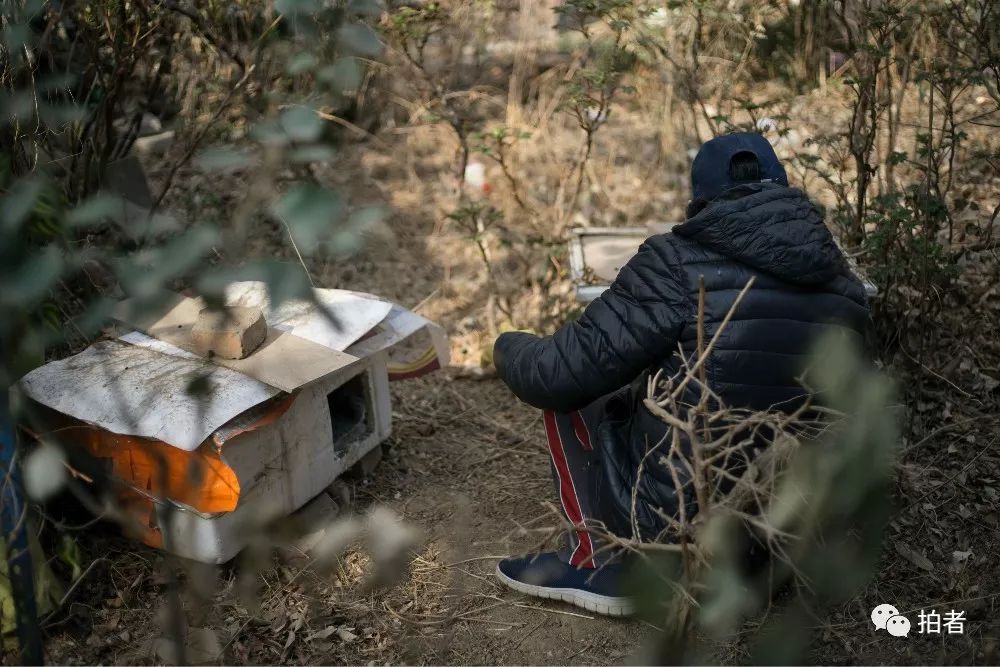 养40只流浪猫建新家,家里有18只流浪猫