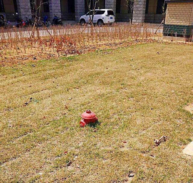 发生火灾消防栓没水怎么办,发生火灾灭火器里没有水