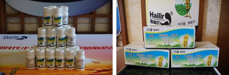 防赤霉病最好农药是哪一款,抗锈病抗赤霉病高产品种