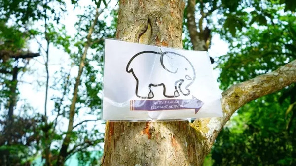 马来西亚猫山王详细攻略,尝一口香甜的马来西亚猫山王