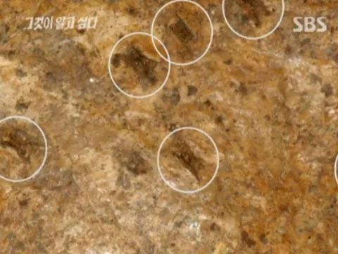 韩国三大悬案失踪案在哪看,韩国三十年未解悬案五少年失踪