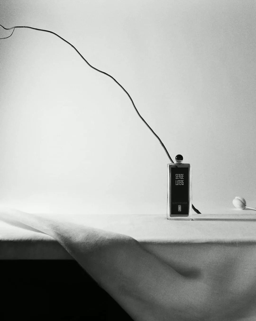 同样是沙龙香，为何SergeLutens芦丹氏就被誉为最神秘、最值得尝试的香水呢？