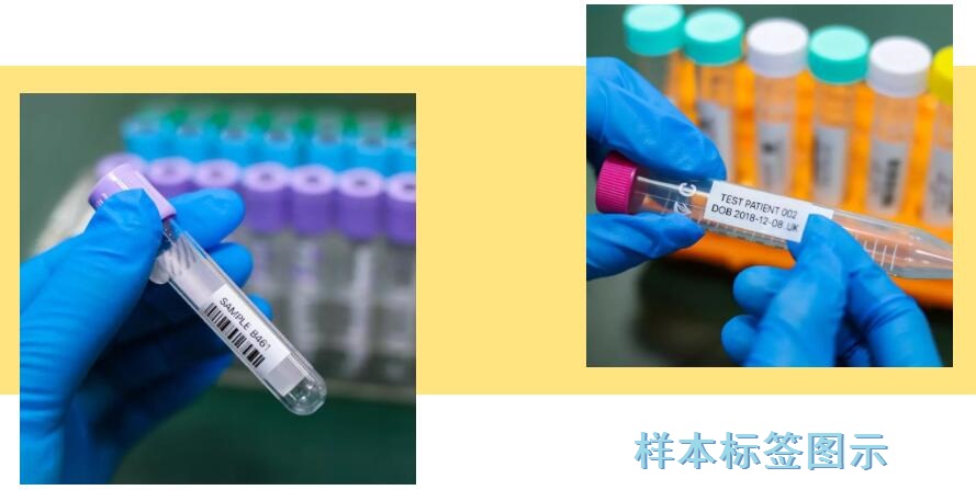 威码无线蓝牙标签机GT3000，实验室用品有效标识管理