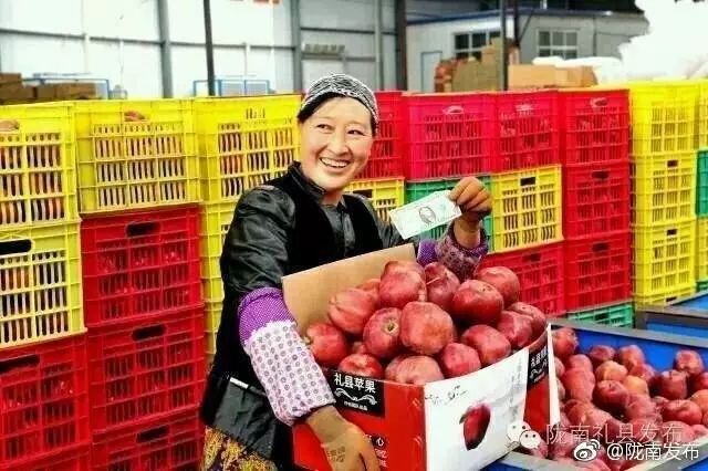 陇南电商平台礼县,礼县电商扶贫中心