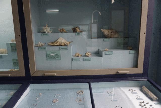 怎么去毛里求斯自由行旅游攻略,毛里求斯环岛路线