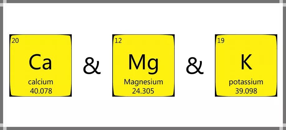 老年人记忆力减退吃什么食物好,老年人记忆力减退补充什么维生素