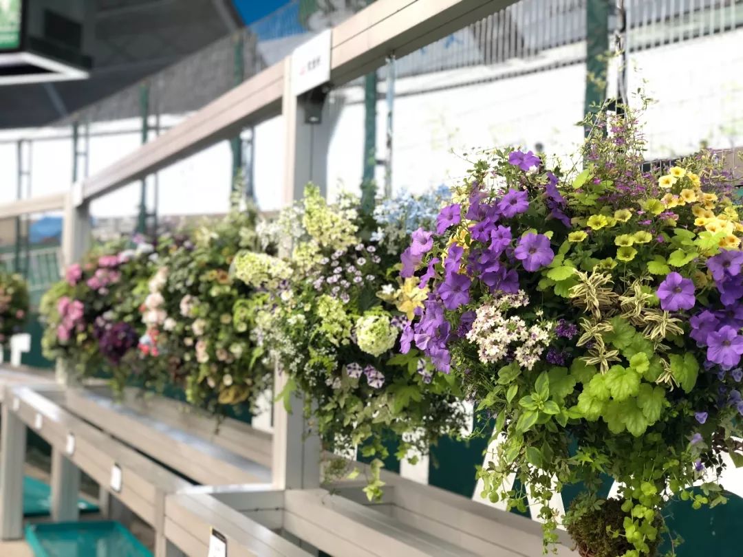 麻宁推荐|中国最时尚的未来花世界，拍照太出片了！