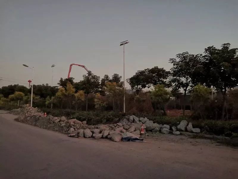 乐清白石常青藤幼儿园,乐清中心幼儿园清和园区