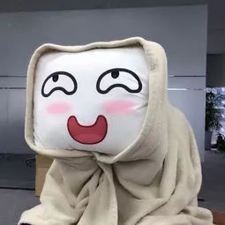 长沙破了世界纪录,长沙建主题乐园