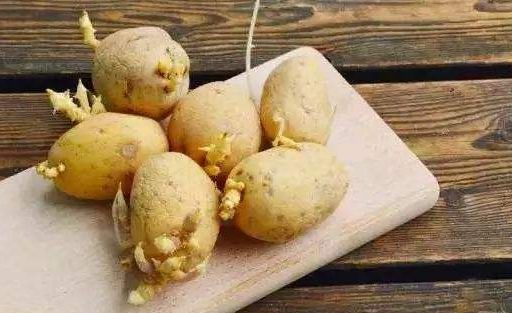 南充常见的这种东西，吃的要当心，发现霉变请立刻丢掉...