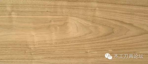 识别木材优劣家居人必备基本功,木材识别基础知识