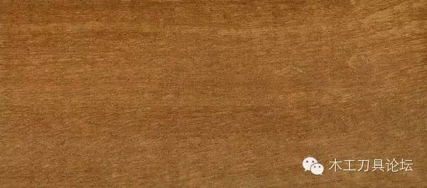 识别木材优劣家居人必备基本功,木材识别基础知识