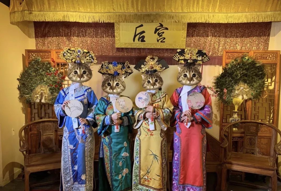 密室大逃脱的密逃后遗症,密室大逃脱场地揭秘