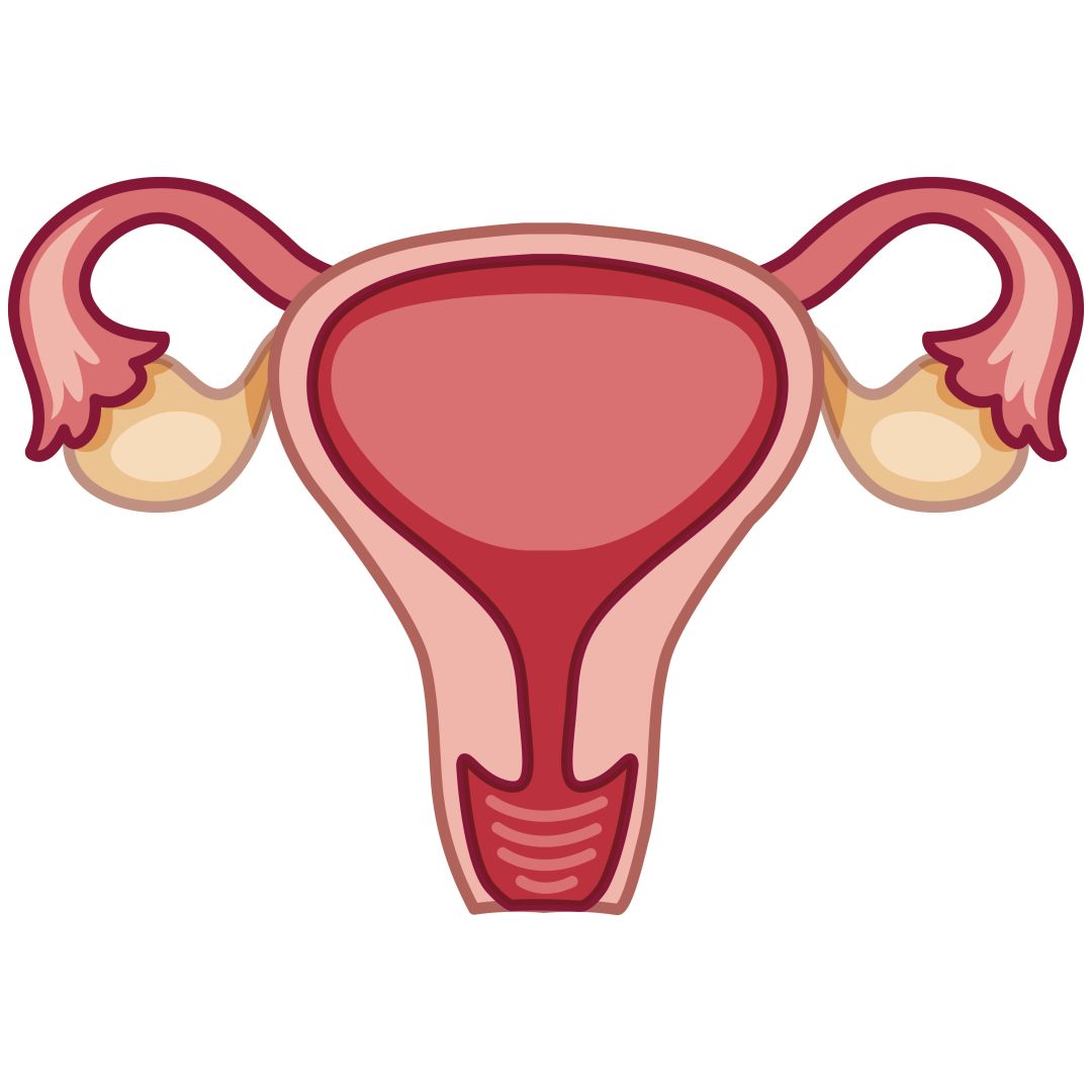 孕妈出现三种症状怎么处理,孕妈孕期3件事