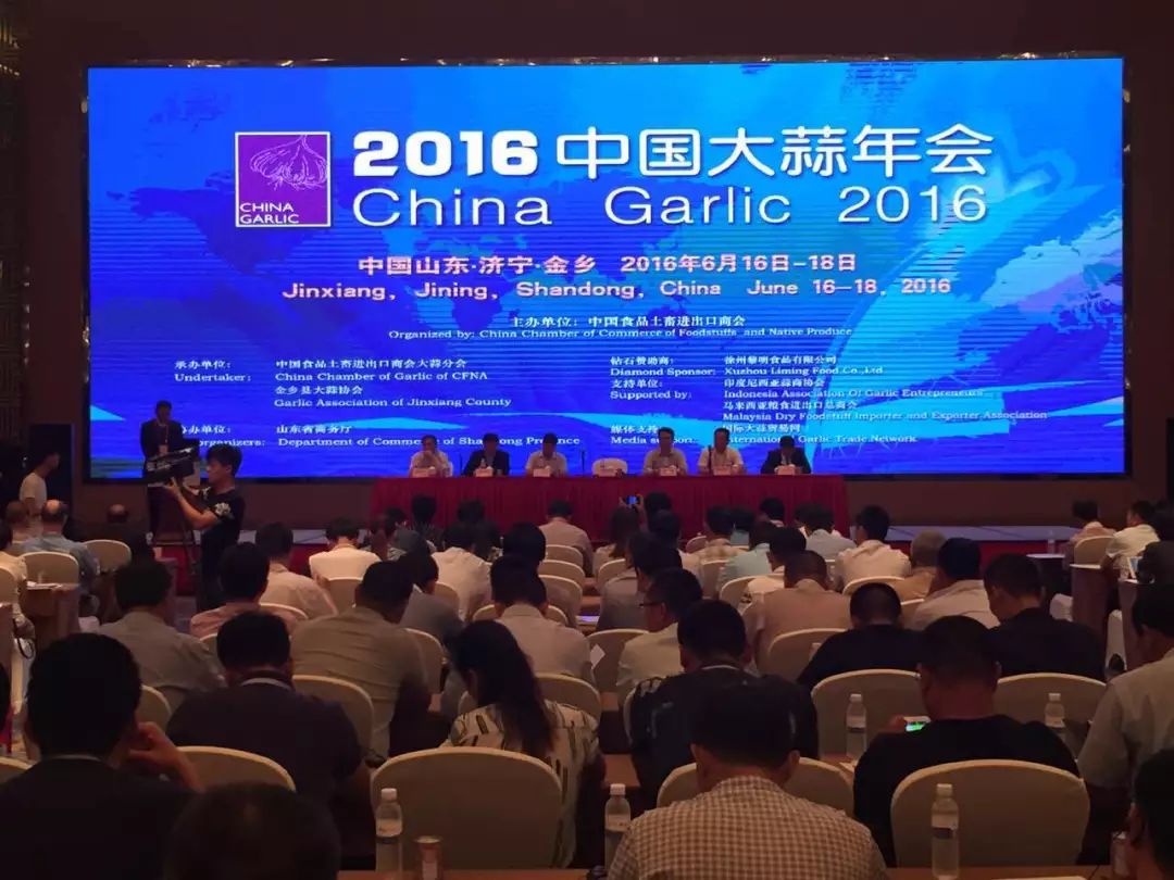 制造业巨头海尔种金乡大蒜，真能改变“蒜你完”？