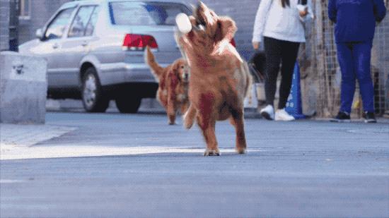 北京姑娘开民宿,北京姑娘开了家胡同民宿