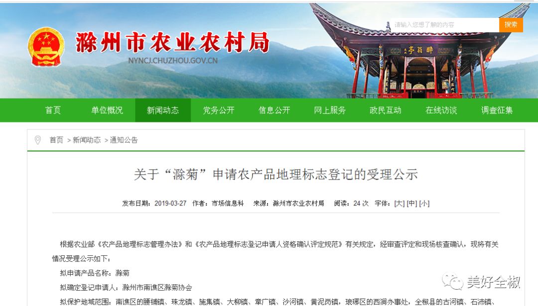 全椒特产滁菊,滁菊花是一般的菊花吗