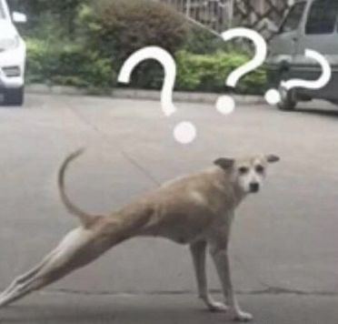 盘点那些值得买的东西,你还知道哪些东西最值得买