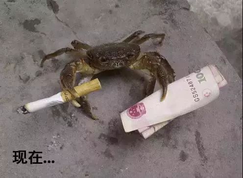 剁手｜10块钱在上海能干些什么？这些可能大家都想不到！