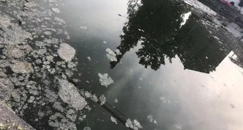 我姓杨，我向全邹城人民道歉！！但我有苦衷……