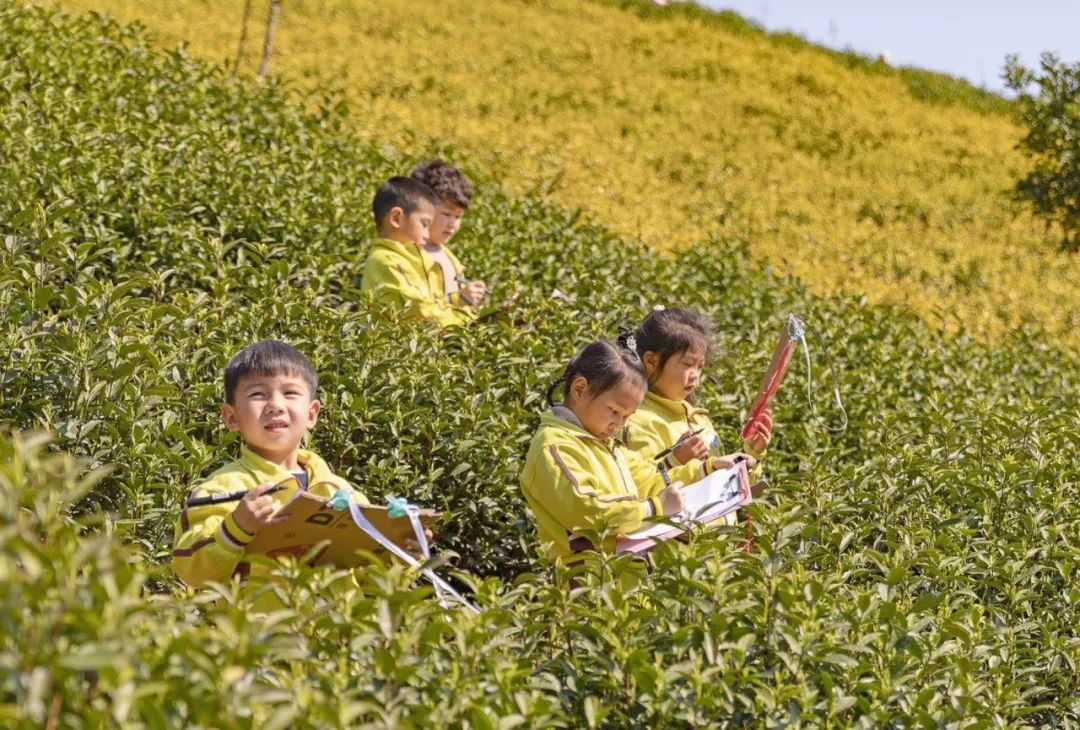 湖州一院清明节放假,湖州清明节各大医院放假安排