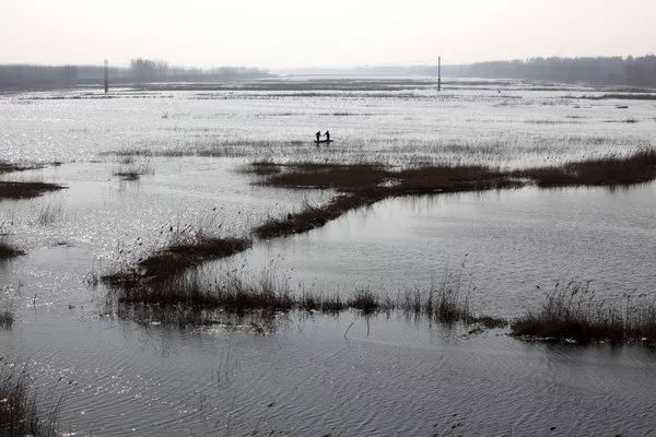 文安洼的由来,文安洼的变迁