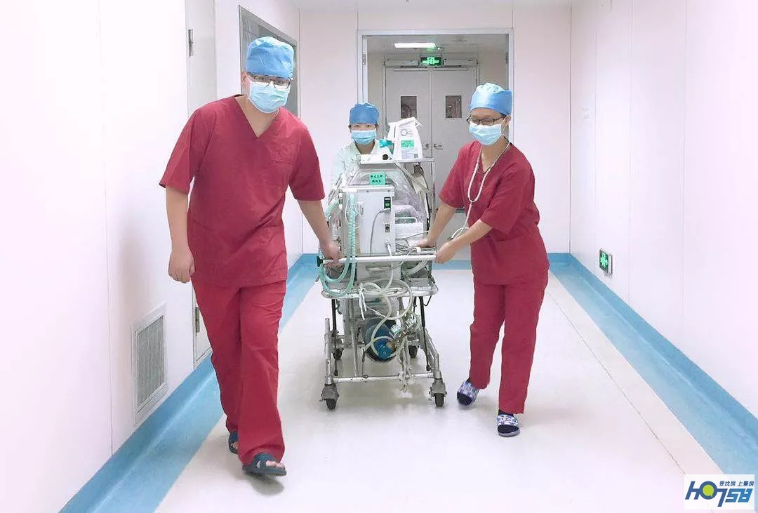 缂栫粐鐢熷懡涔嬬綉,缂栫粐鐢熷懡涔嬬綉浣滃搧